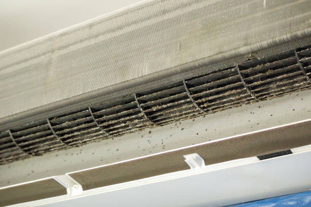 Best Air Quality Test  in Shorewood Tower Hills Harbert, MI